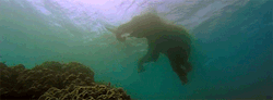 https://69.media.tumblr.com/47d4616bab4a672dbb5be3fe12b6e4fa/tumblr_ml2e6fRjKJ1rhlv47o2_r1_500.gif