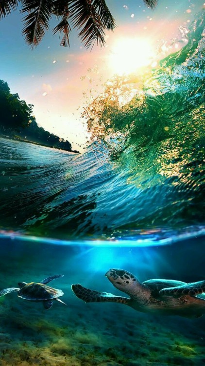 WALLPAPERS PAISAGENS | DÊ LIKE!