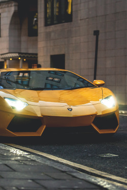 aldy-evdy:  Yellow.