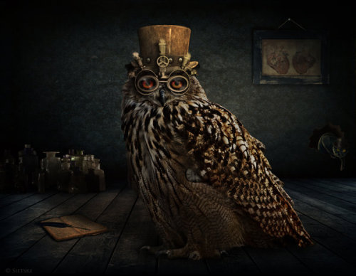 steampunk-art:  Steampunk Art 