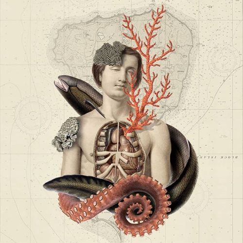 darksilenceinsuburbia: Saint George  you can also find me @mary_bu__
