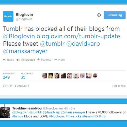 Tumblr has blocked Bloglovin from displaying Tumblr posts. This means that they have blocked Tumblr 