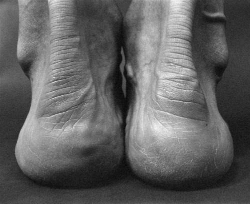 chico-tropico:  Lucyna Kolendo — Corpo Solido, 2012. 
