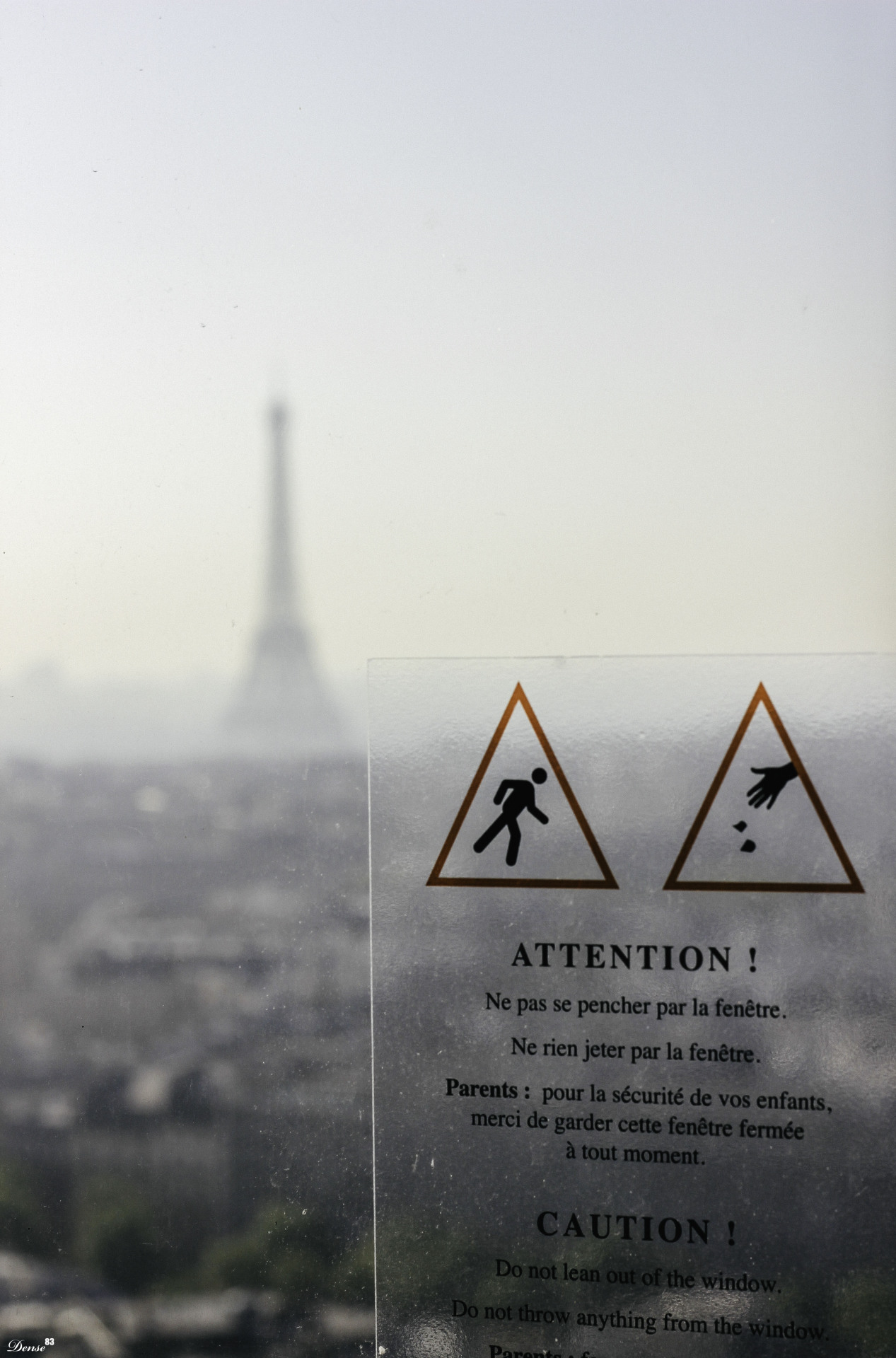 eightythree4eightythree: Paris By Jesse Greene 