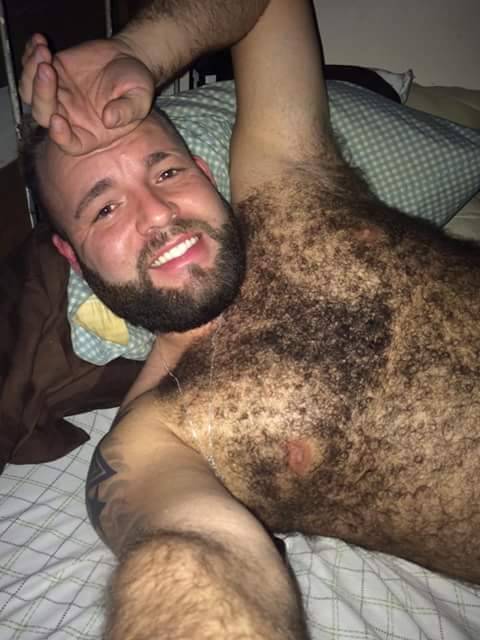 BEAR_HAIRY