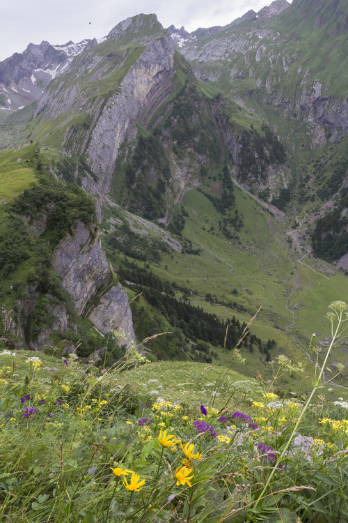 geologicaltravels: 2013: Rossmad Vorgipfel (1939m), a thrust block in the Alpstein