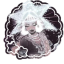 pl4yg1rl-r0ckst4r