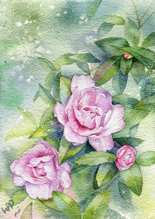 Watercolor flowers by Chinese illustrator 豪屁屁PP