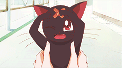 chiamis:  Sailor Moon (1992) vs Sailor Moon Crystal (2014) Ep. 1 