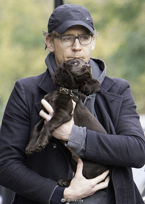 Tom with a puppy while out on a walk in London on November 9, 2017