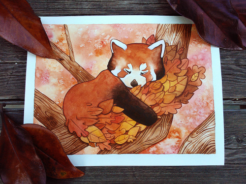 Painting a little red panda, step by step :)• Etsy • Facebook• Blog