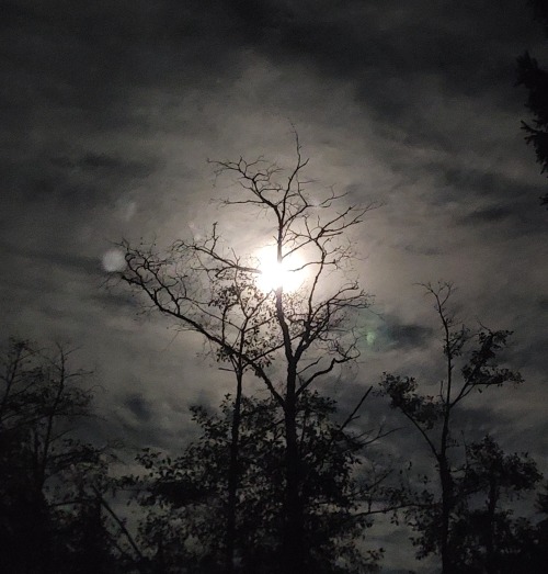 There Are Only Bloody Faerytales. The Origins Of Every Faerytale Are Steeped In Blood And Fear.
