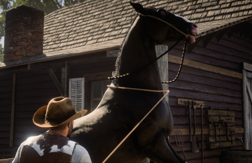 hoovesmadeofsteel:AU where Arthur doesn’t pass away, instead he hangs up outlaw life and moves to Ma
