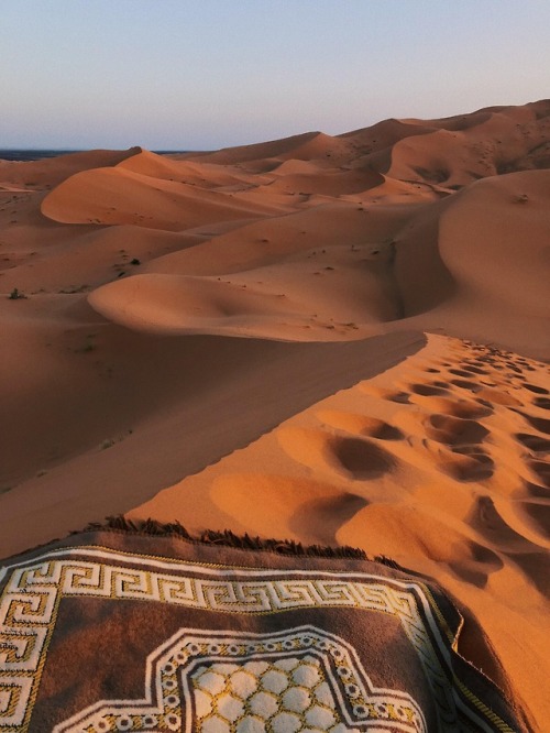 ephemeral-life0 - nothing beats praying صلاة الفجر‎ in the dunes