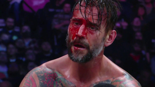 Oh, Hello There! So You've Just Watched CM Punk Wrestle For The First Time And You're Enchanted With