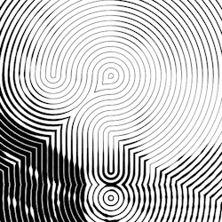 jesuisrien-e:F O C U S