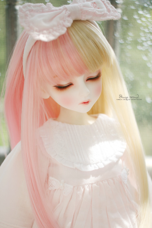 Luts incubus bory dreaming’ Wendy Cinnamon ’owner. shouette