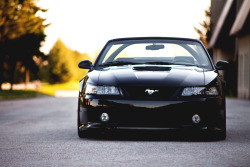 automotivated:  Mustang 1 (by Ryan Ceshan)