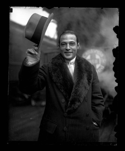 dra90nr1d3rtwo:Rudolph Valentino