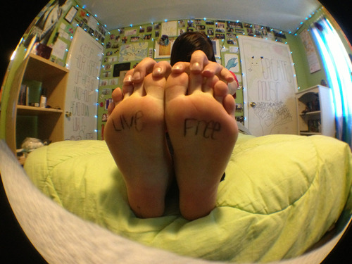 barefootwomen101: rate-my-feet: tumblrfeet: if you dont already follow this blog then do so cos ther