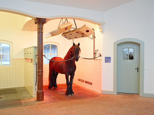 Classic dressage facility in Northern Germany | Vielbrockreithallen &amp; EQUUS Design