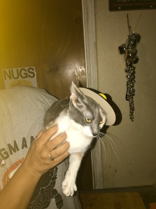 😹😹❤️❤️