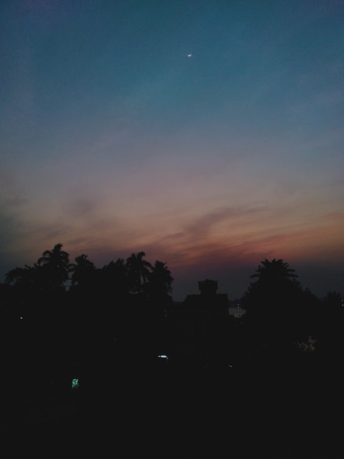 The Moon's So Pretty, I Could Cry My Lungs Out!😭🌙 