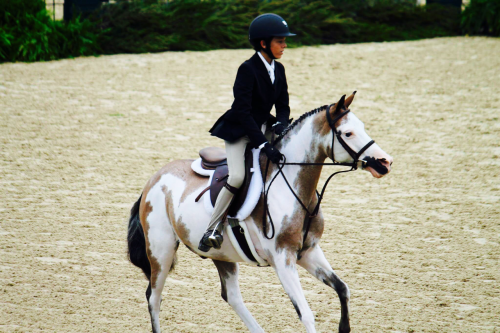 damingo&amp;adam edgar pony finals 2014