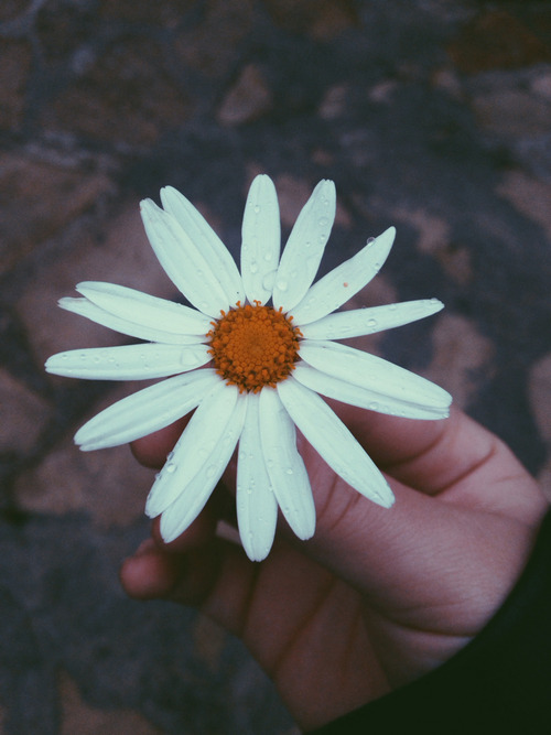 Ig: joana_am_patricio