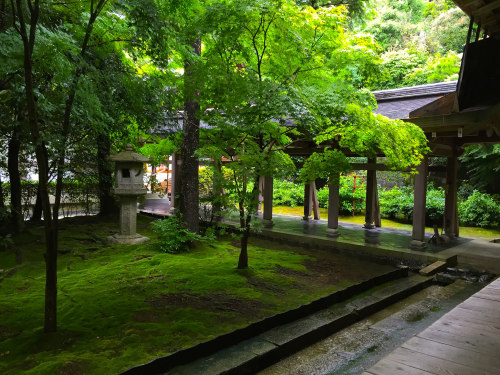 緑の庭 by HideoVia Flickr:Ryōan-ji, KyotoWorld Heritage龍安寺
