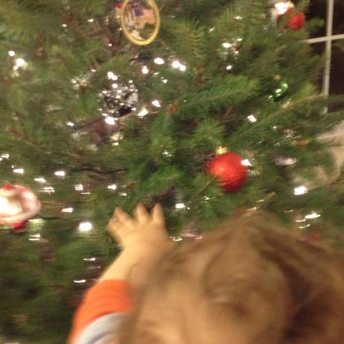 Day 2. What's Faster Than A Speeding Bullet? 1 Year Old Racing Towards A Christmas Tree. #babyboy #christmastree
