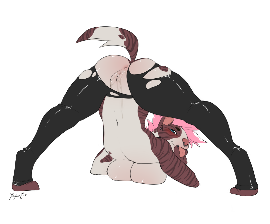 Fang's Fur Funhouse