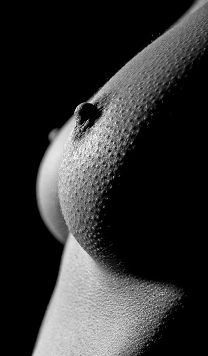 vanessafreddi:  