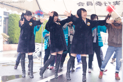 水戸ご当地アイドル(仮)、すいたんすいこう2015.03.08　つなげよう下市(ハミングロード513歩行者天国内)※雨の湿度によるレンズのくもりで一部モヤモヤした写真になっております