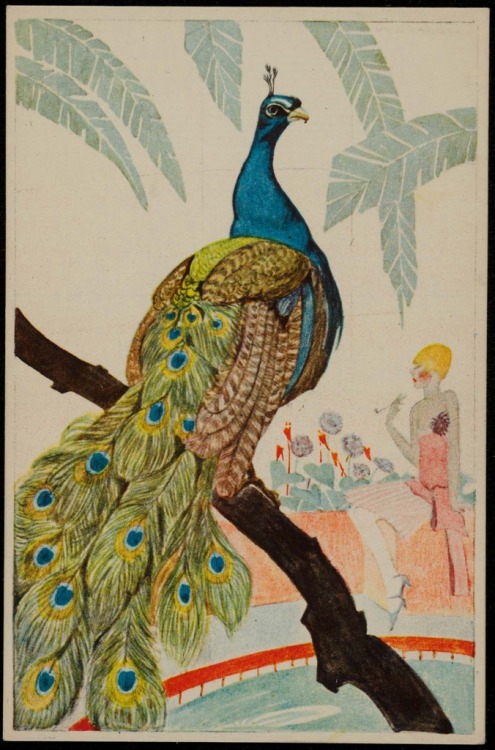 heaveninawildflower: ‘Peacock’ (Series - Colourful tropical birds in a zoo) by Mela Koeh