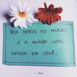 magia d sol