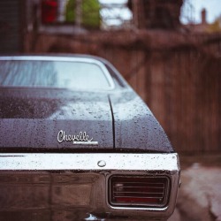 saychevrolet:  Someone left the Chevelle out in the rain… A damp 1970 Chevrolet Chevelle and its taillight-in-bumper configuration.
