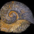 A Metal Snail