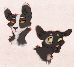 finchwingart:  I just realized that ask I replied to earlier about Tallstar and Ravenpaw being my fave characters never included the image I attached ghsnf so here ya go