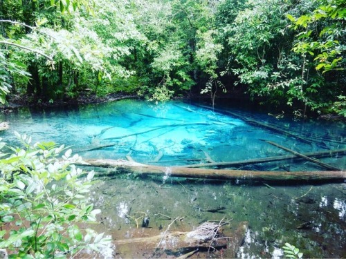 backpackerstory-blog: Emerald Pool - Krabi, Thailand @collectingvisas See more: backpackerst