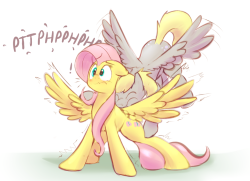 theponyartcollection:  PTHBPHTHPHH by ~Braeburned  I totally forgot to post this here WHOOPS Doodled as a warm up cause WING RASPBERRIES SOUNDED REALLY CUTE