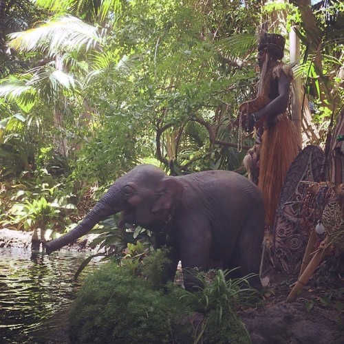 ghostponymedia: #headhunter #jungle #disney (at Jungle Cruise)