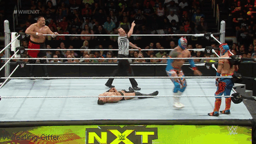 Wrestling Giffer