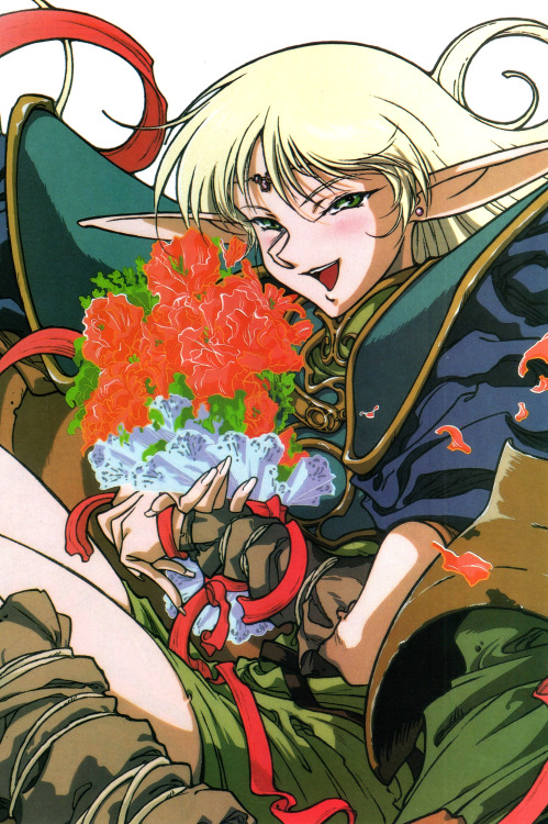 animarchive:    Deedlit from Record of Lodoss