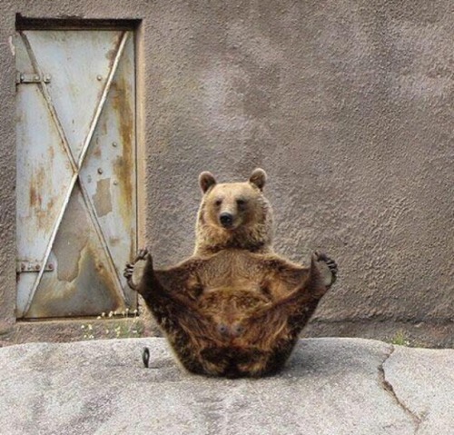 chokesngags:  When I haven’t gotten a wax yet but he still wanna eat it.