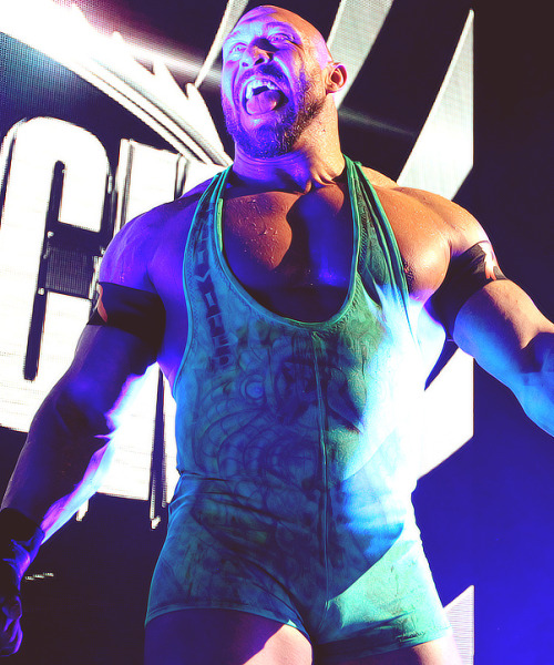 I see a nice bulge! >:)