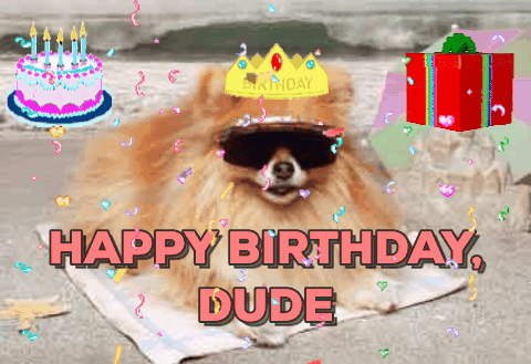 images Funny Birthday Gifs Dogs memeponine tumblr com tumbex