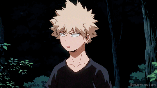 𝘵𝘩𝘪𝘴 𝘪𝘴 𝘯𝘰𝘵 𝘭𝘰𝘷𝘦. 💌 — Hc for Dabi and Bakugo with an s/o usually rejects...