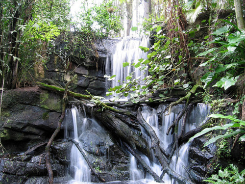 eh-lephants: tropical-tigress: lavanche:  Tropical Waterfall by rocket9.net on Flickr.  jungle ❁ tro