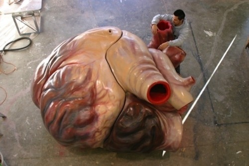 sixpenceee:  The following is a life-size model of the massive heart of a blue whale. It was in exhibit at the LWL museum in 2013. The model was designed to be crawled through and contains a sound system which enables people to hear and feel the whale’s